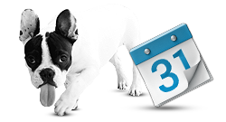 pet-shcedule