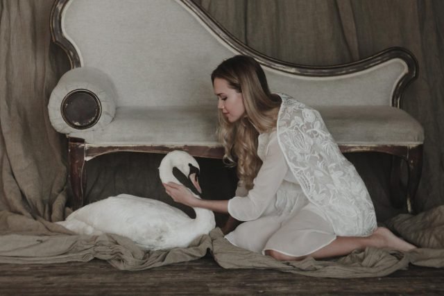 White Swan White swan