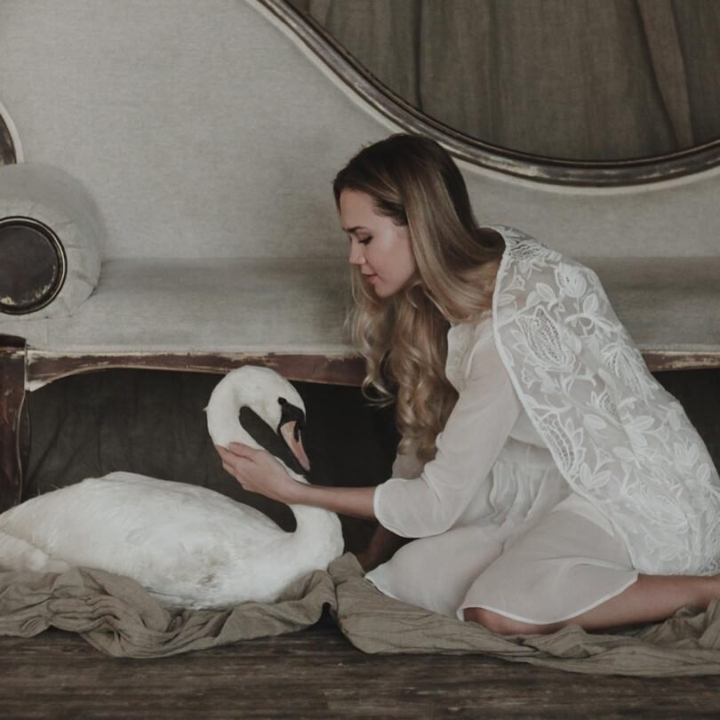 White swan